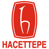 hacattepe
